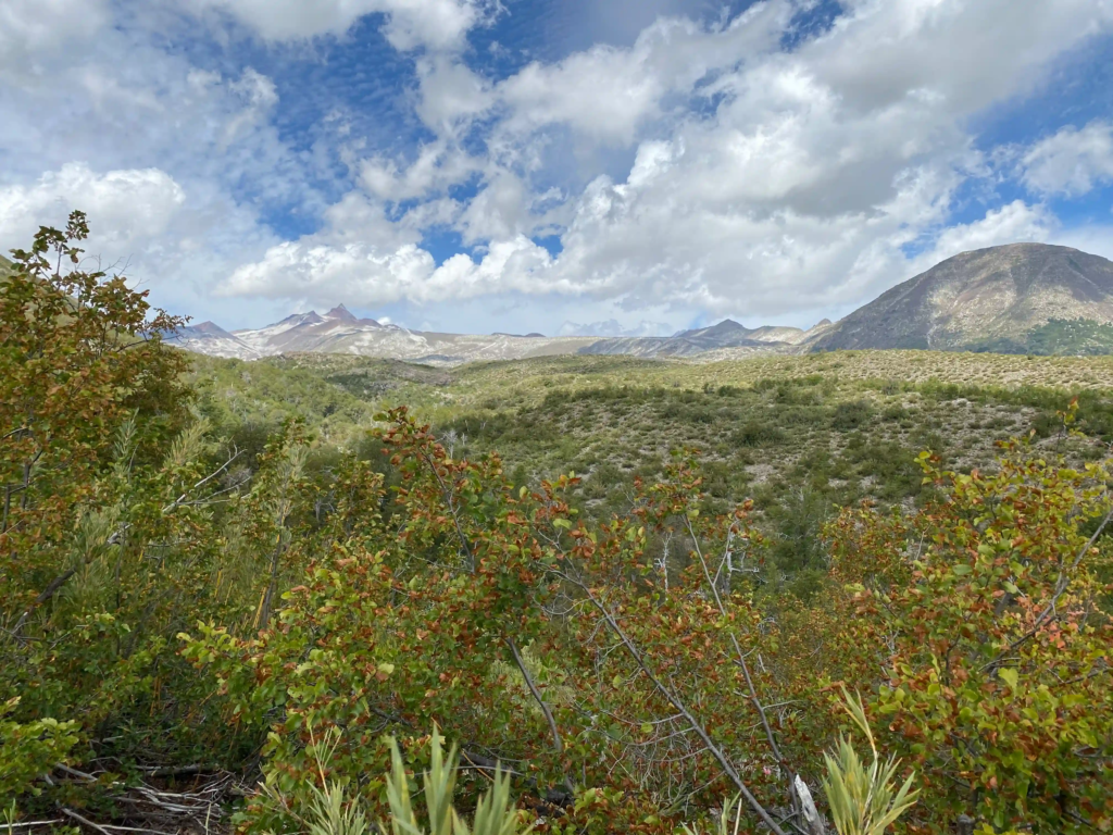 Mountain View in the Chilean Andes 