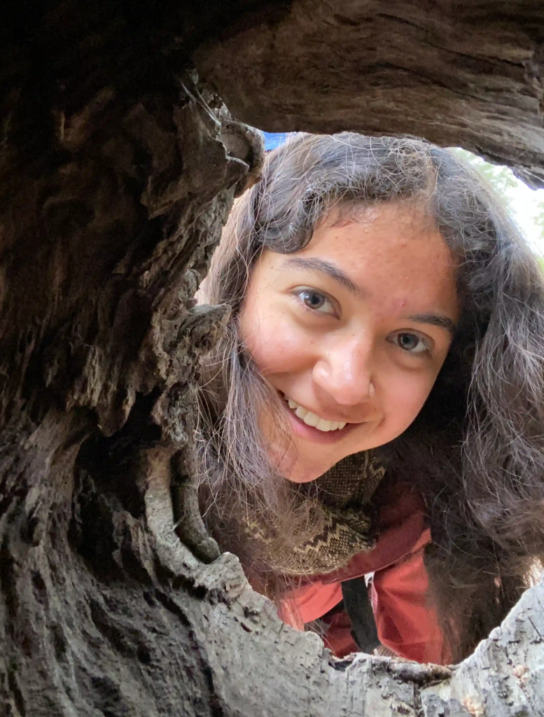 Hiking through the parque inglés in Chile
